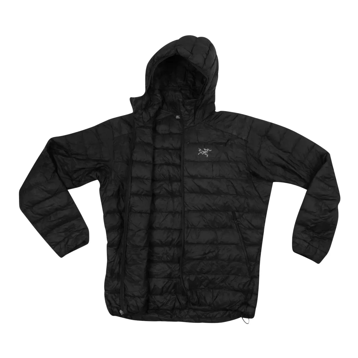 Arc'teryx Cerium LT Down Hoody - Men's