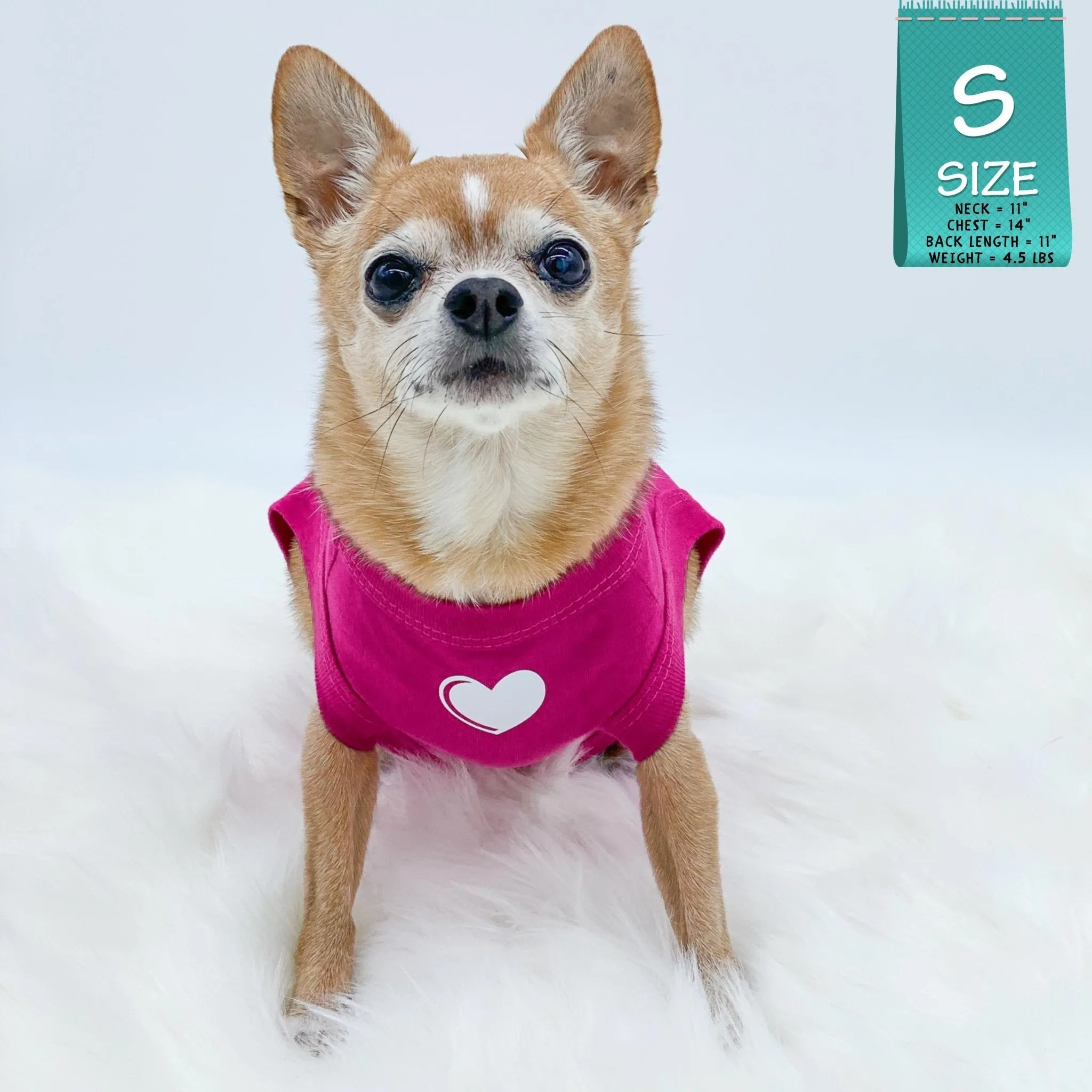 Dog T-Shirt | SPOILED