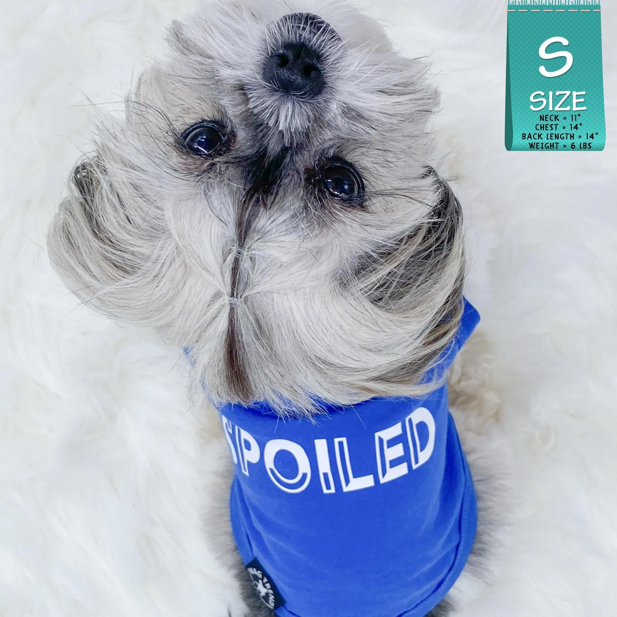 Dog T-Shirt | SPOILED