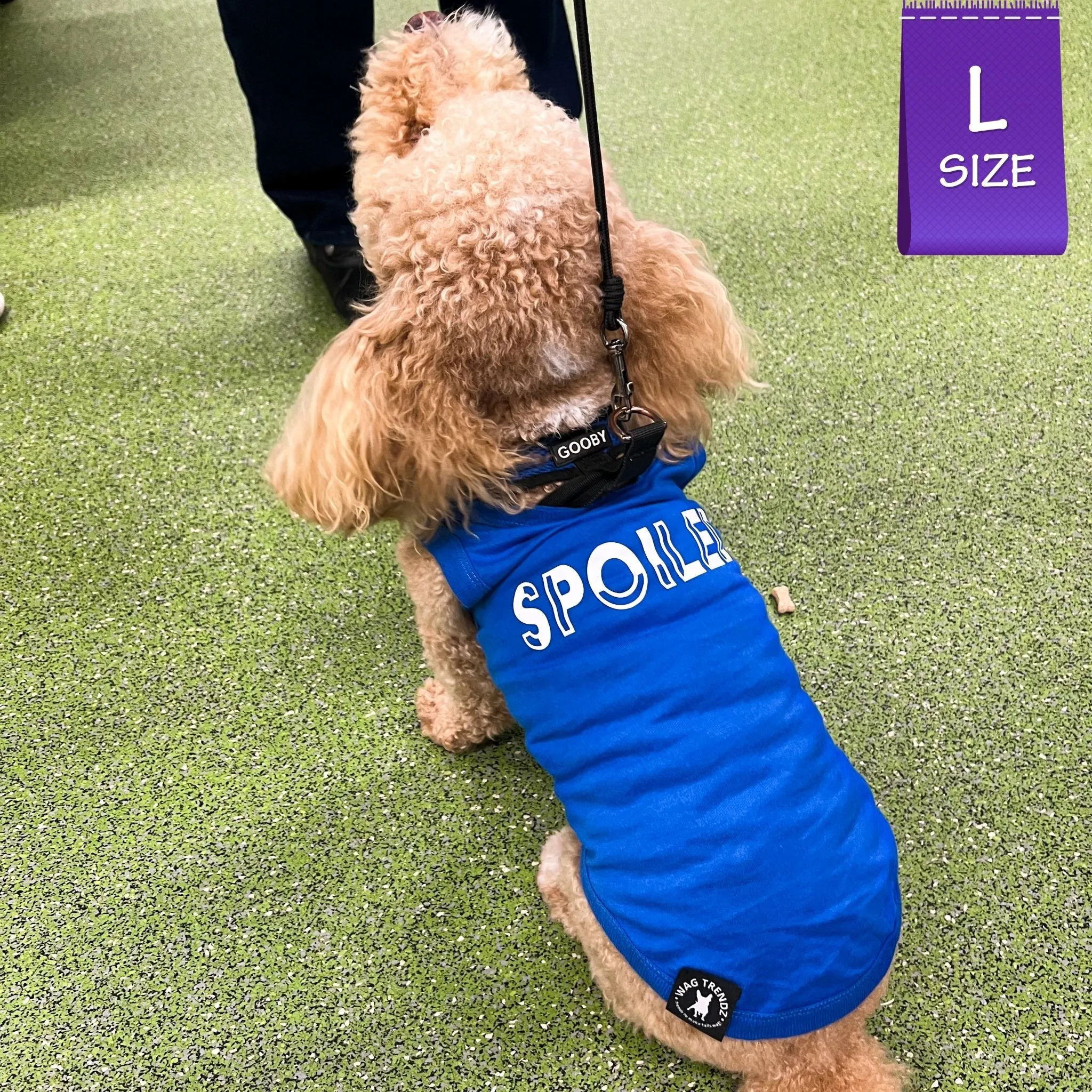 Dog T-Shirt | SPOILED