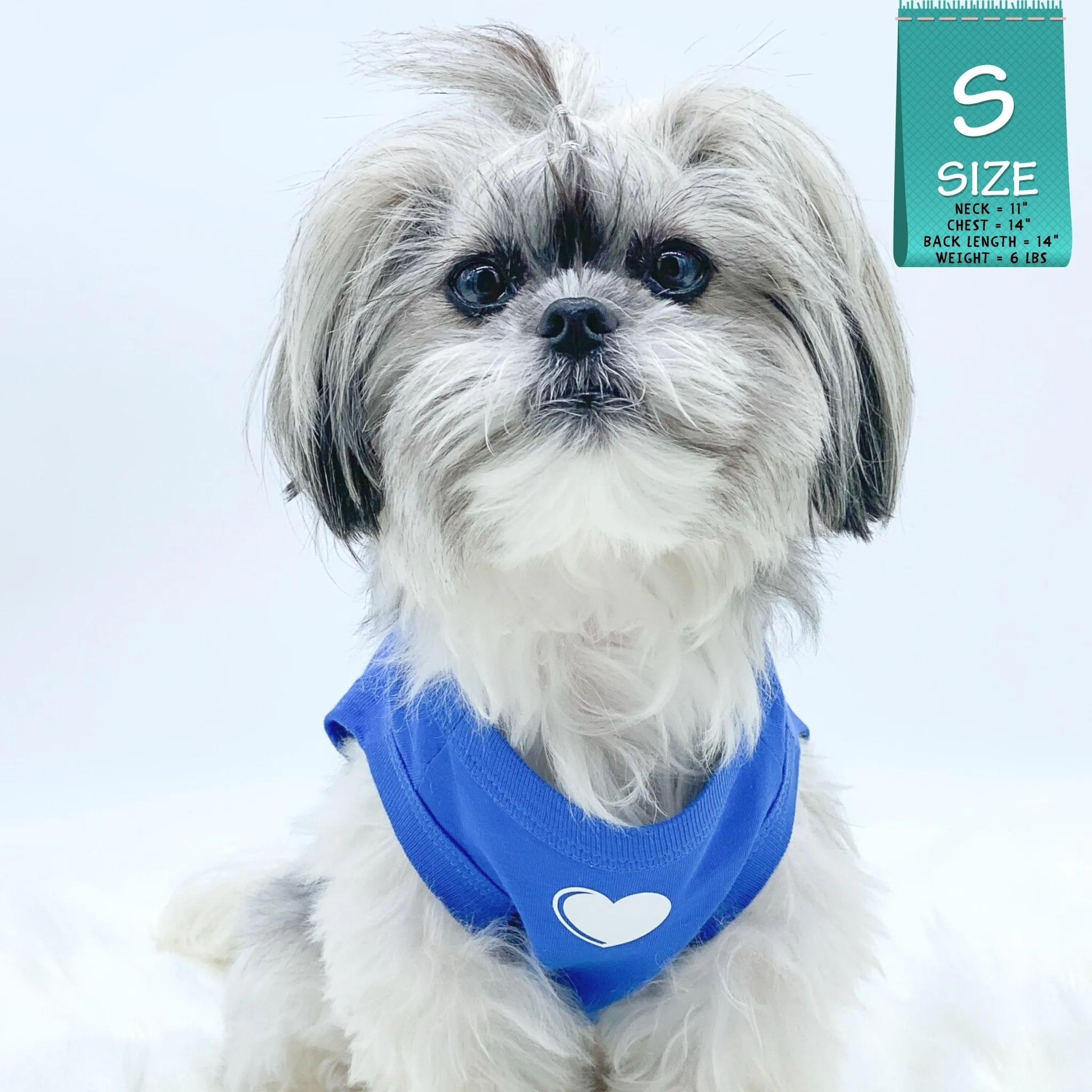Dog T-Shirt | SPOILED