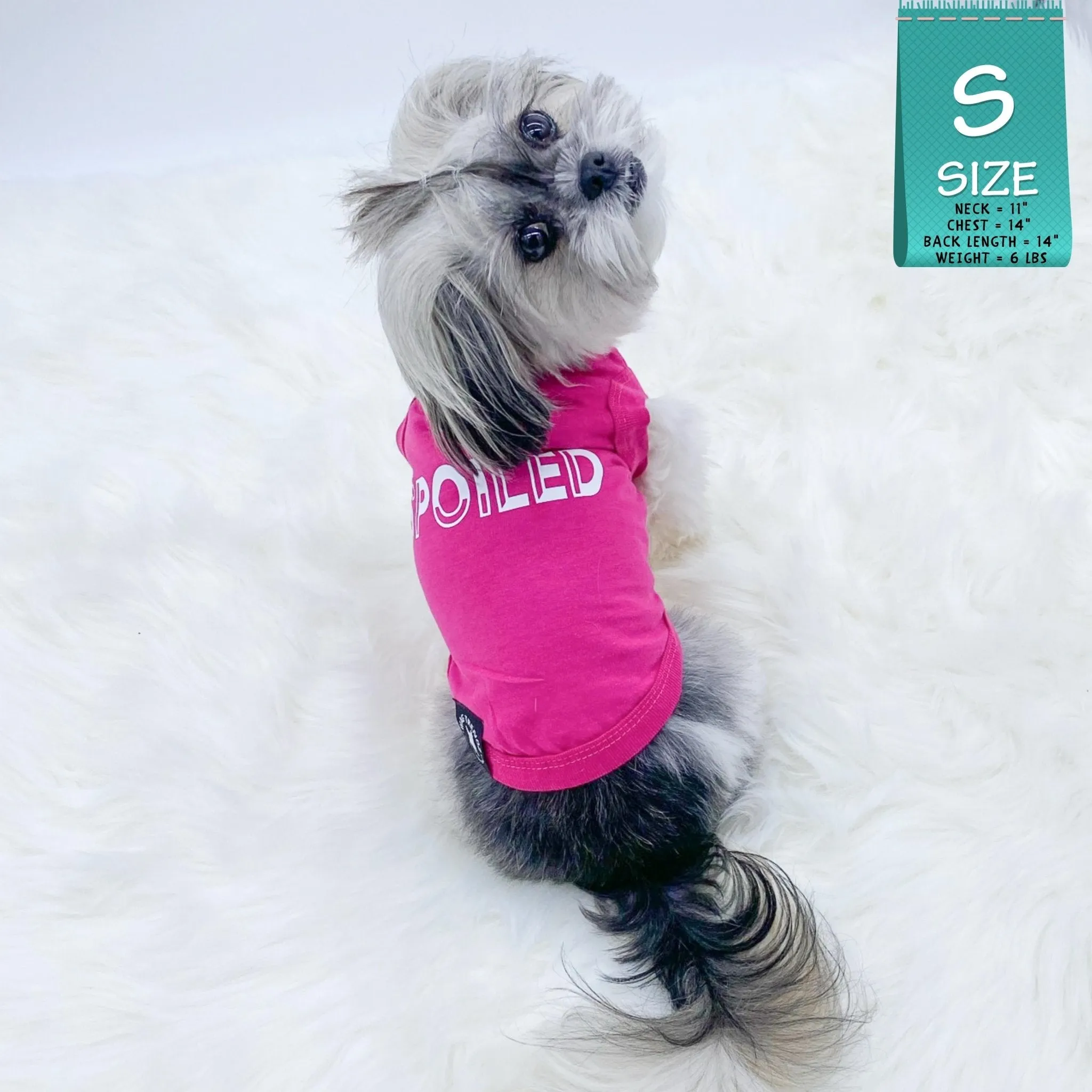 Dog T-Shirt | SPOILED