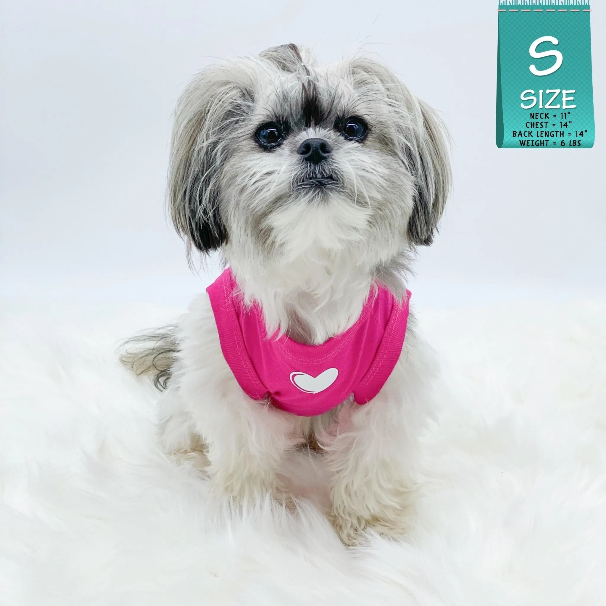 Dog T-Shirt | SPOILED