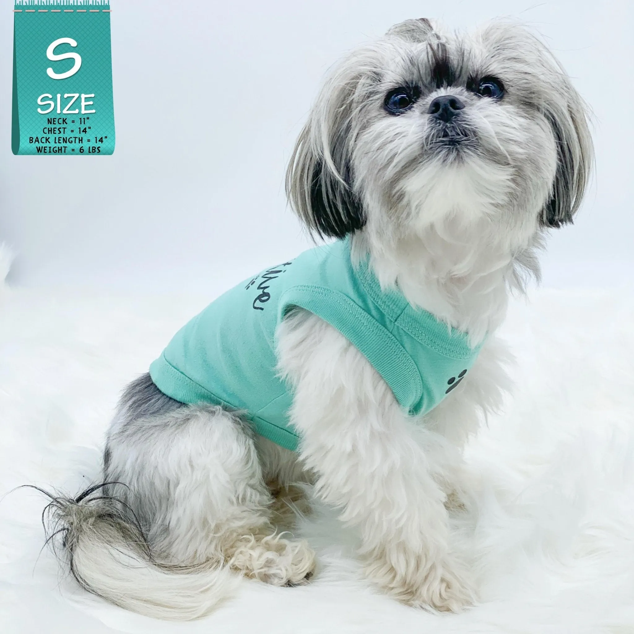 Dog T-Shirt | Stay Pawsitive