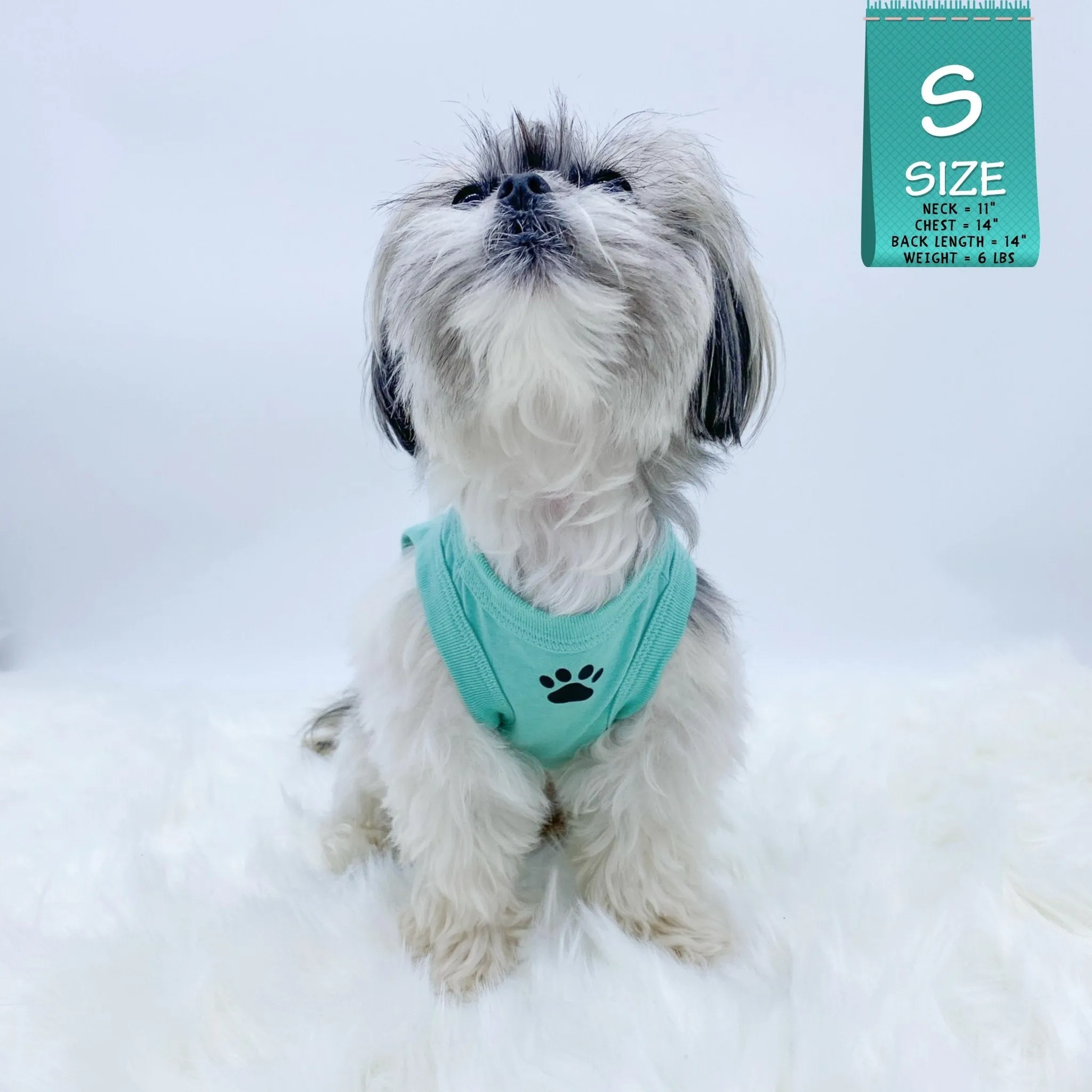 Dog T-Shirt | Stay Pawsitive