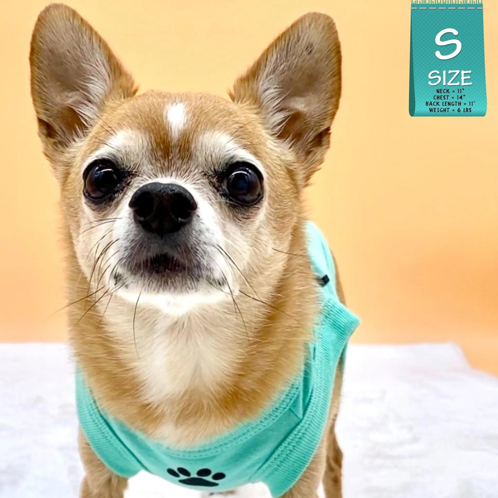 Dog T-Shirt | Stay Pawsitive