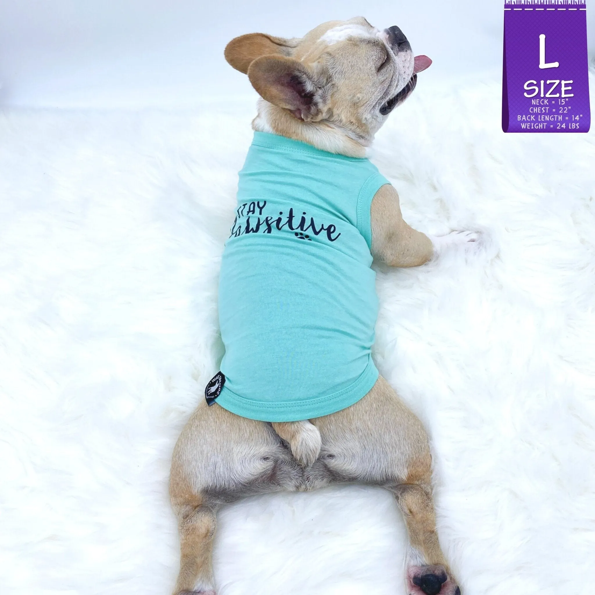 Dog T-Shirt | Stay Pawsitive
