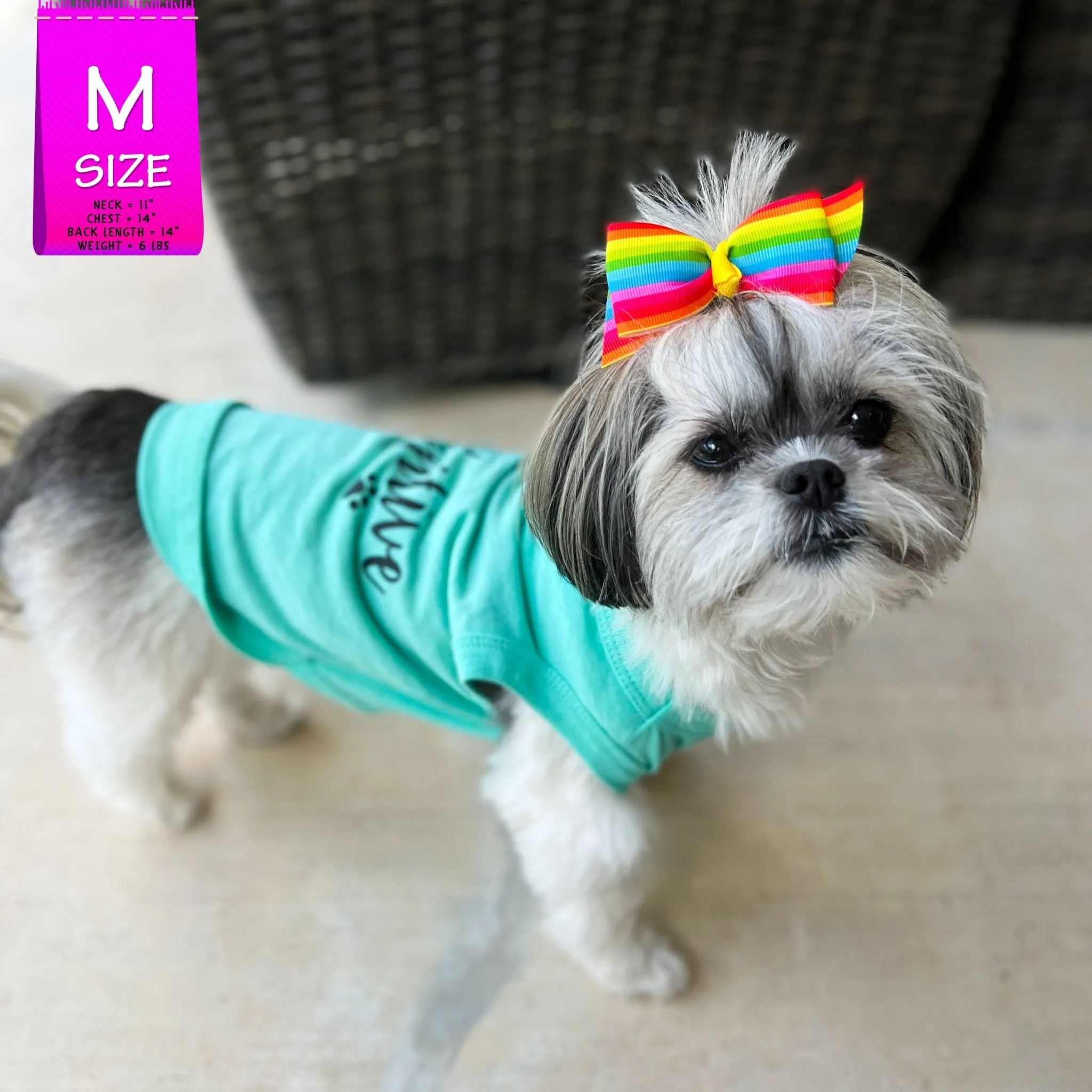 Dog T-Shirt | Stay Pawsitive