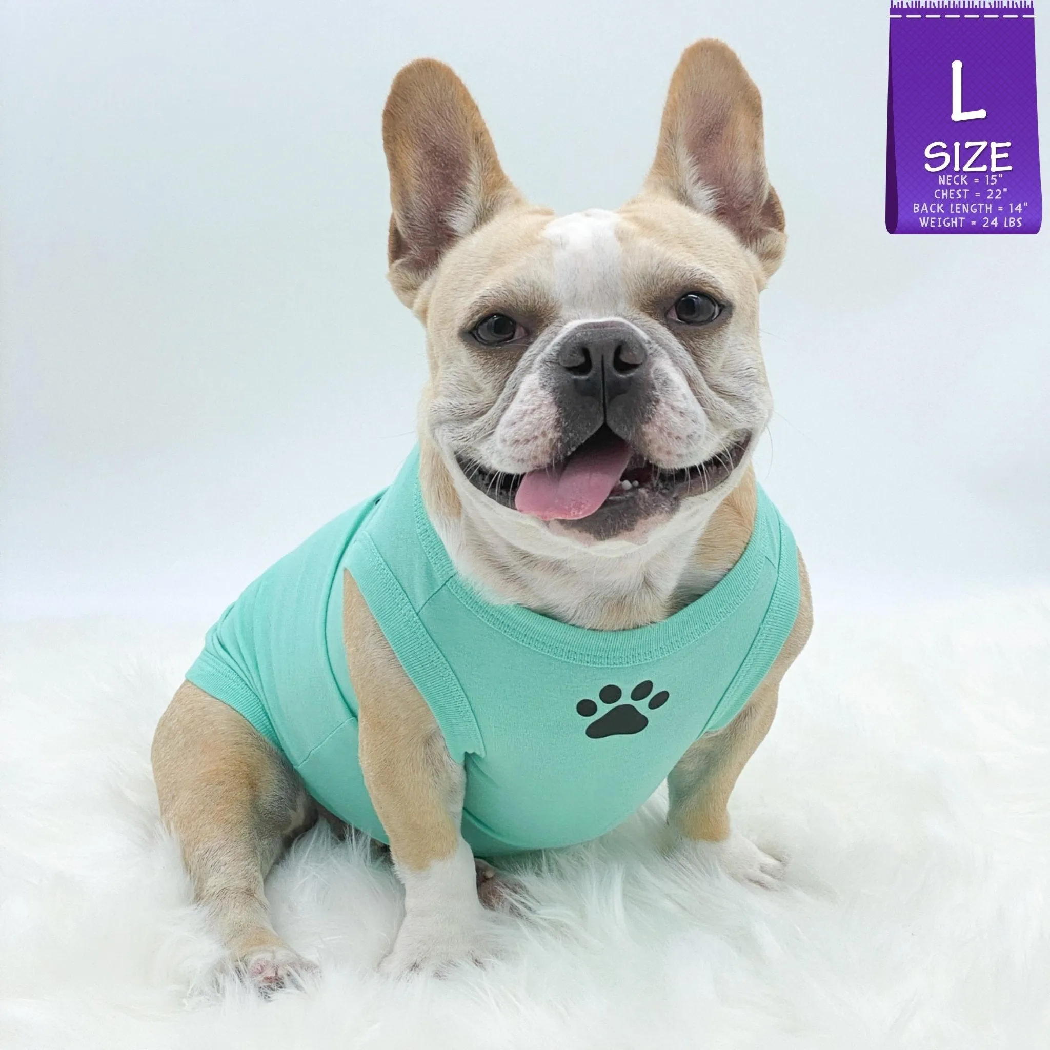 Dog T-Shirt | Stay Pawsitive